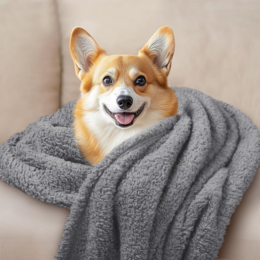 Luciphia pet blanket placed on a sofa to help protect the furniture.