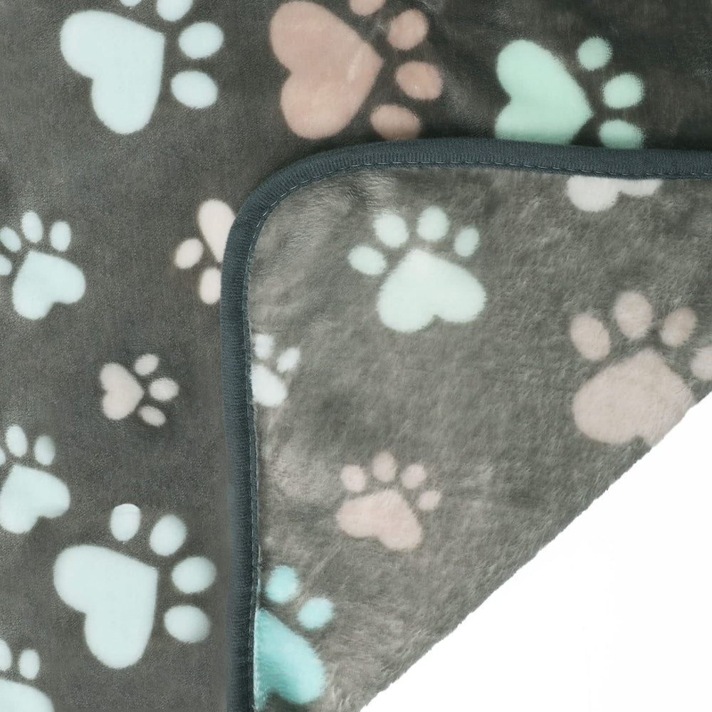 Luciphia pet blanket shown ready to carry for an outdoor outing.