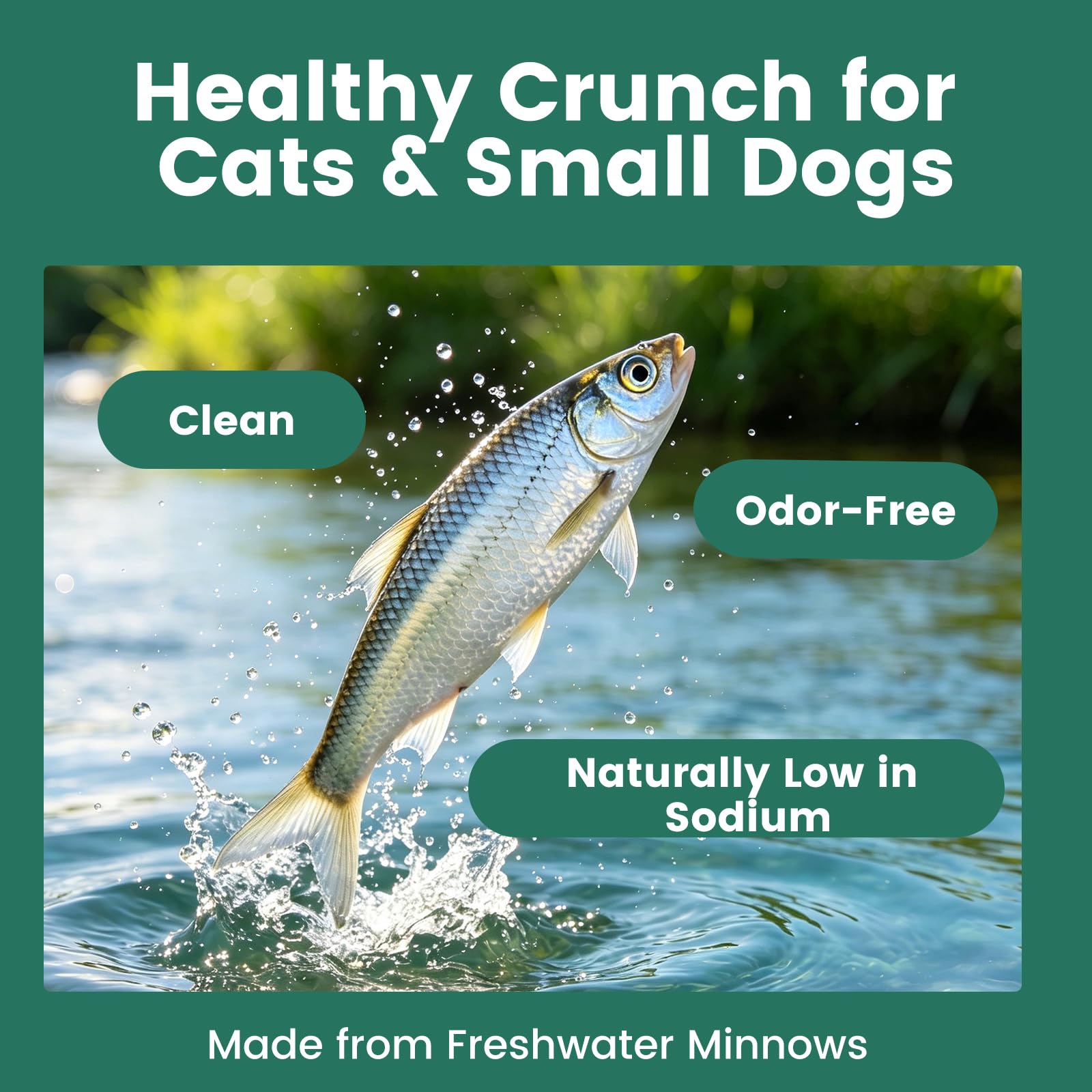 LuckyQworms minnow treats photographed close up to show their crunchy texture.