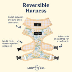 Lucy & Co. reversible dog harness showing its alternate print side.