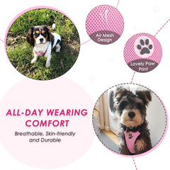 Lukovee dog car harness seat belt showing the chest buckles and adjustable straps.