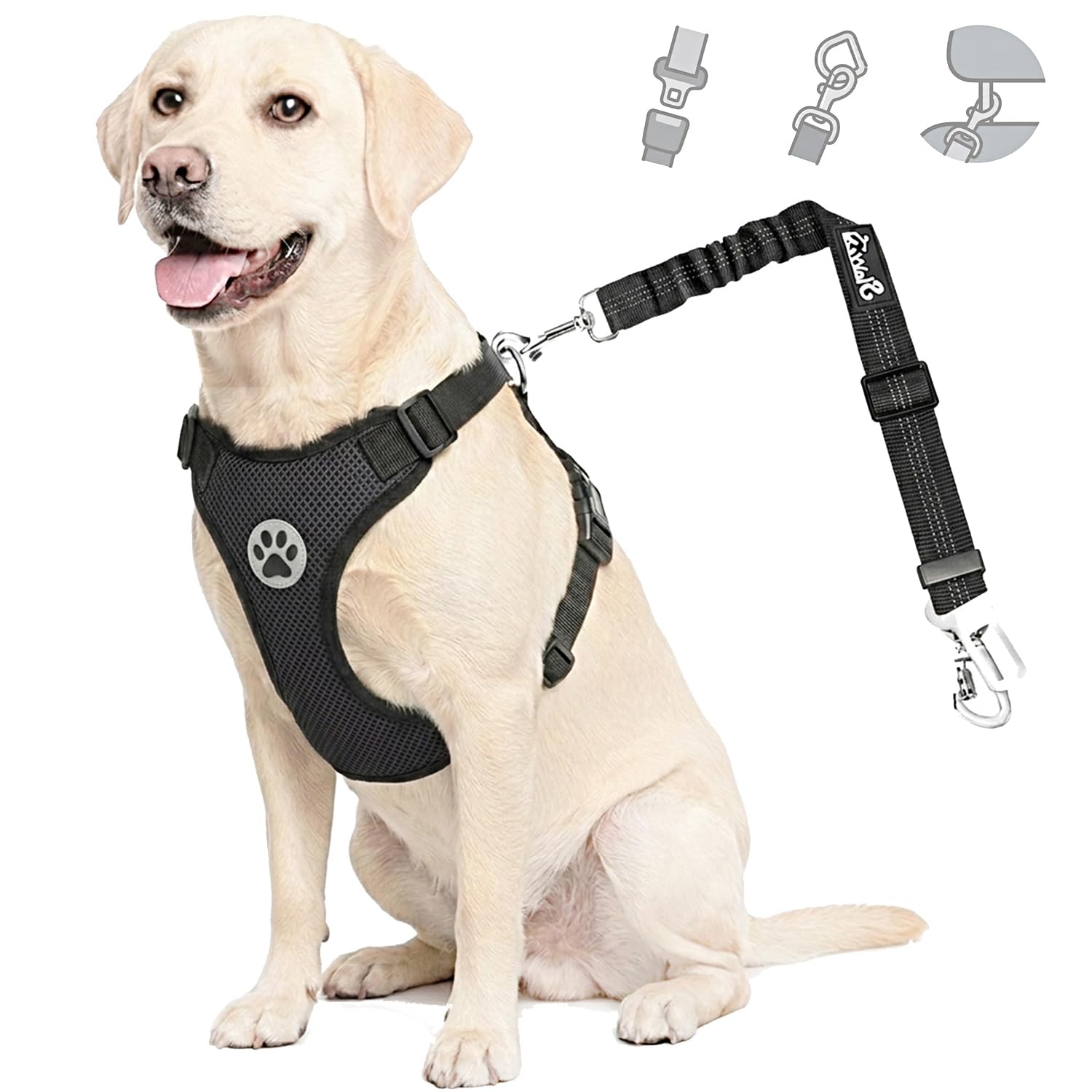 Lukovee dog car harness seat belt set shown from the front.