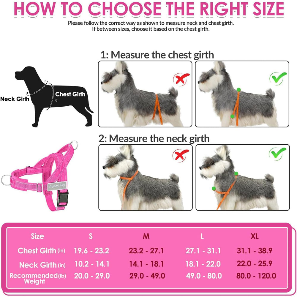 Lukovee dog harness adjustable straps and quick-release buckle shown close up.