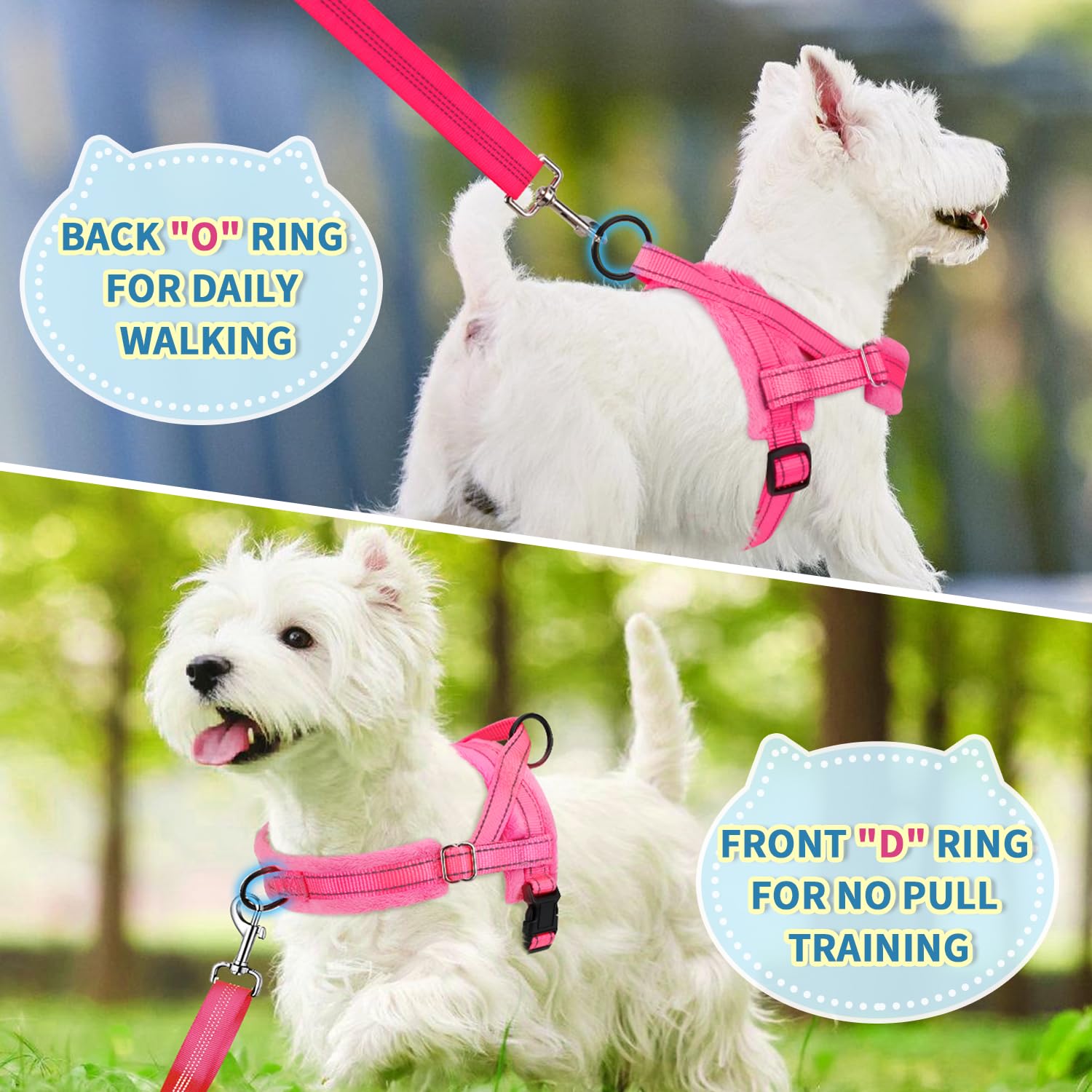 Lukovee small dog harness showing the back O-ring attachment.