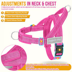 Lukovee dog harness back O-ring attachment shown in detail.