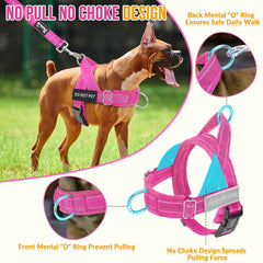 Lukovee dog harness front chest D-ring shown in close-up.