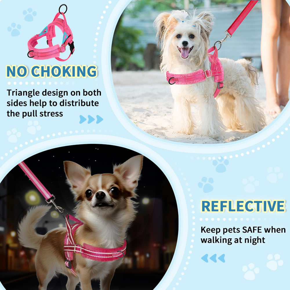 Lukovee small dog harness with the front D-ring visible.