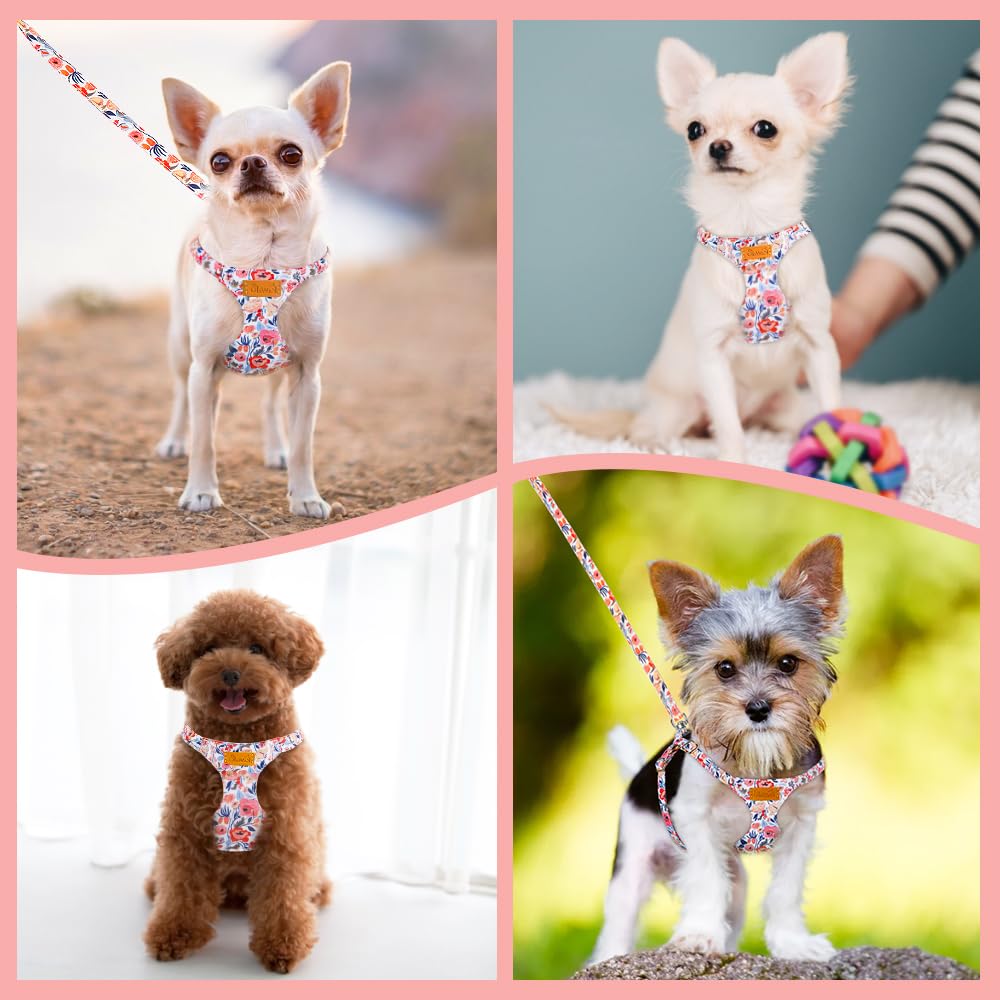 Lukovee dog harness and leash set shown from another angle.