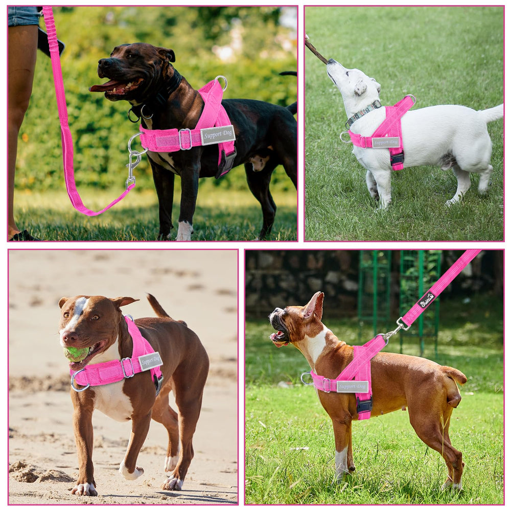 Lukovee dog harness and leash set featuring the elastic bungee leash.
