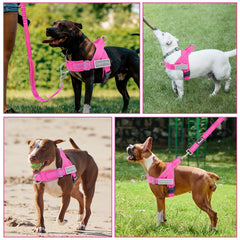 Lukovee dog harness and leash set featuring the elastic bungee leash.