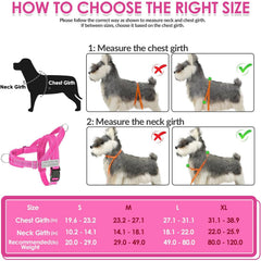 Lukovee dog harness and leash set with reflective strips in view.