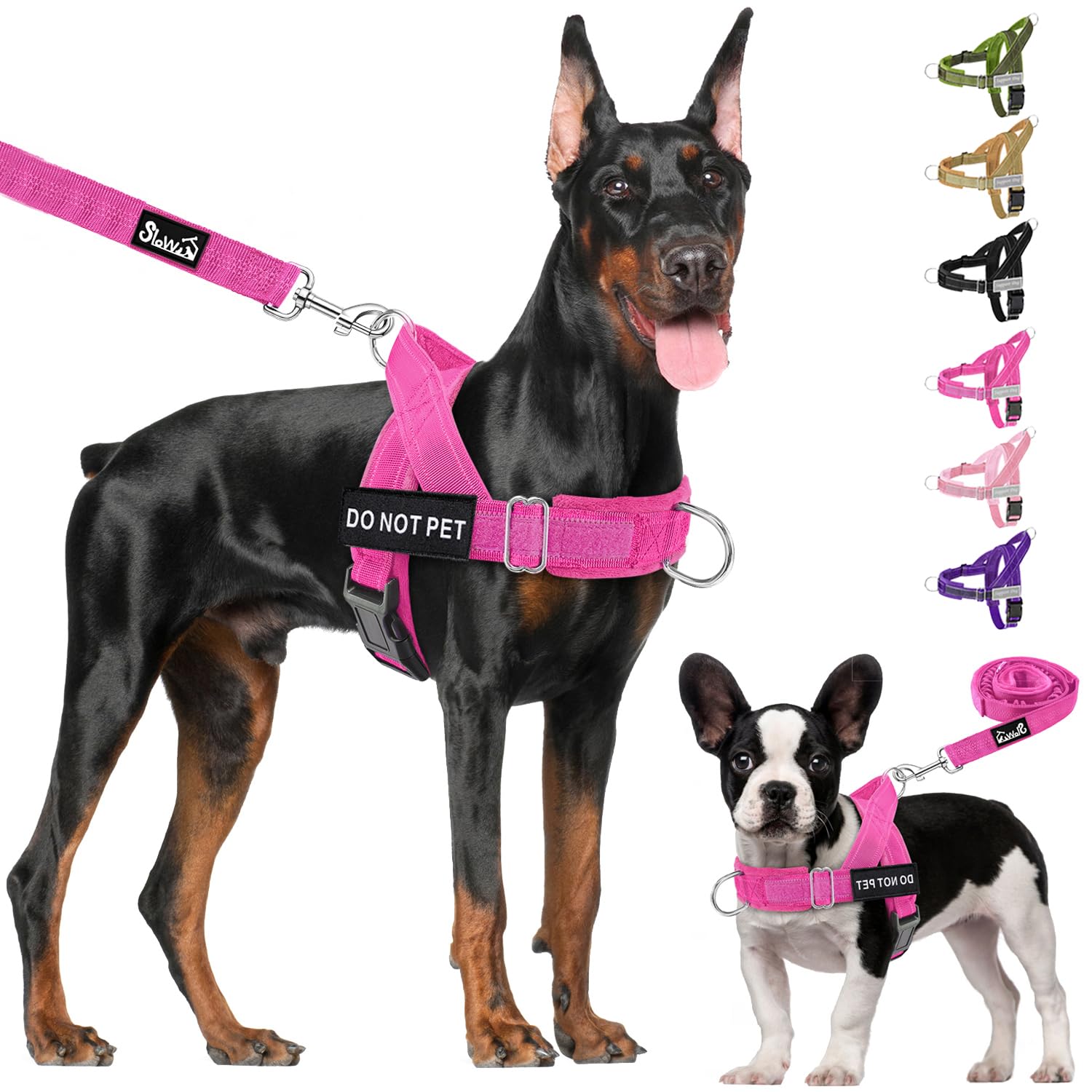 Lukovee dog harness and leash set shown during a walk.