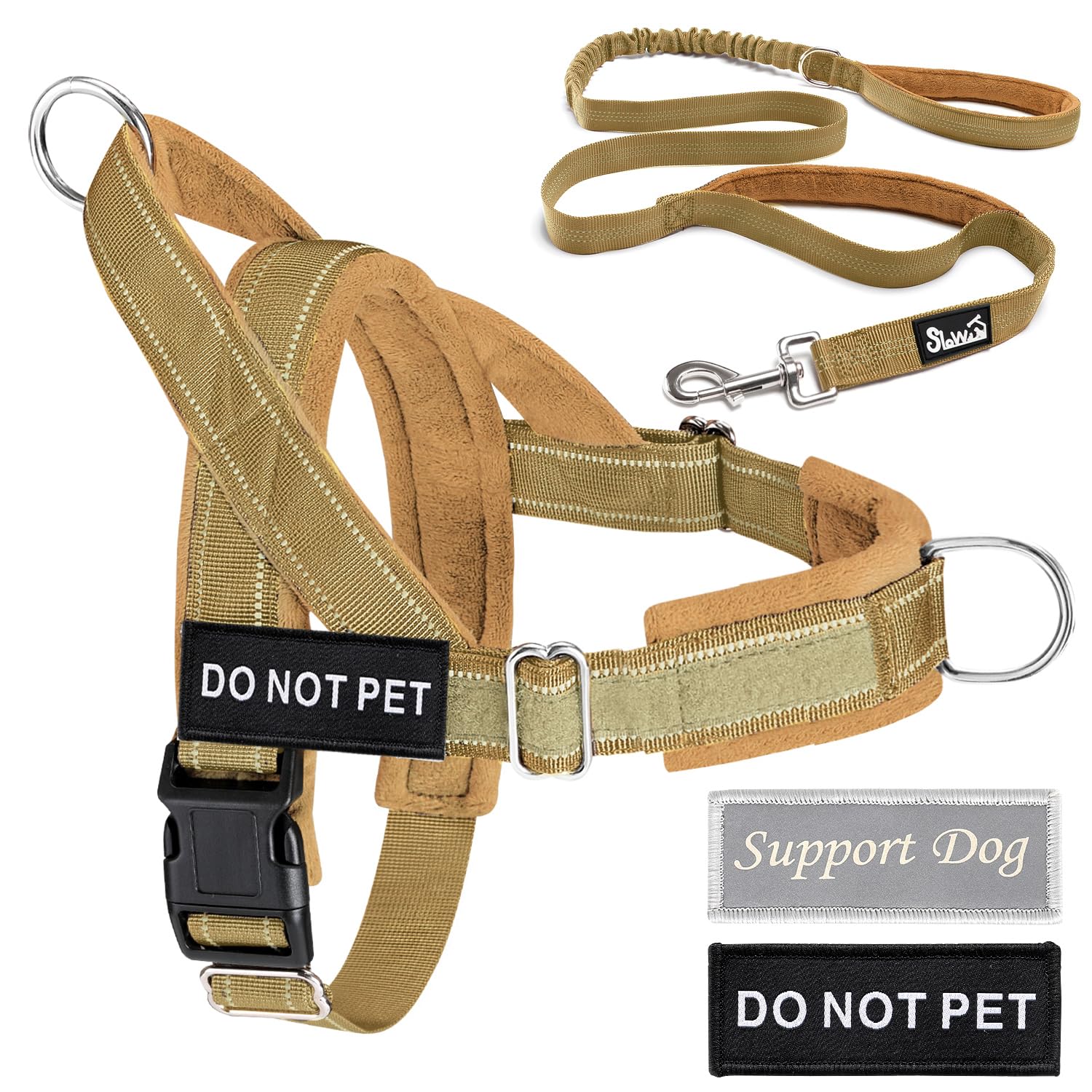 Lukovee dog harness and leash set shown during a walk.