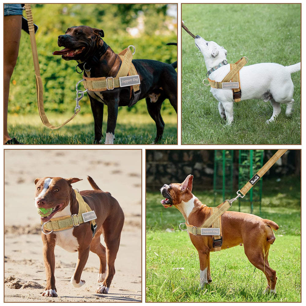 Lukovee dog harness and leash showing their reflective strips.