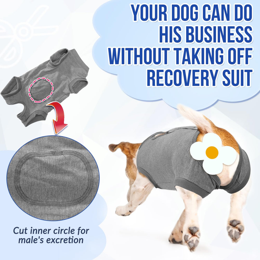 Lukovee dog recovery suit showing the rear space for restroom use.