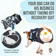 Close-up of the adjustable waist belt and rear strap on the Lukovee dog recovery suit.