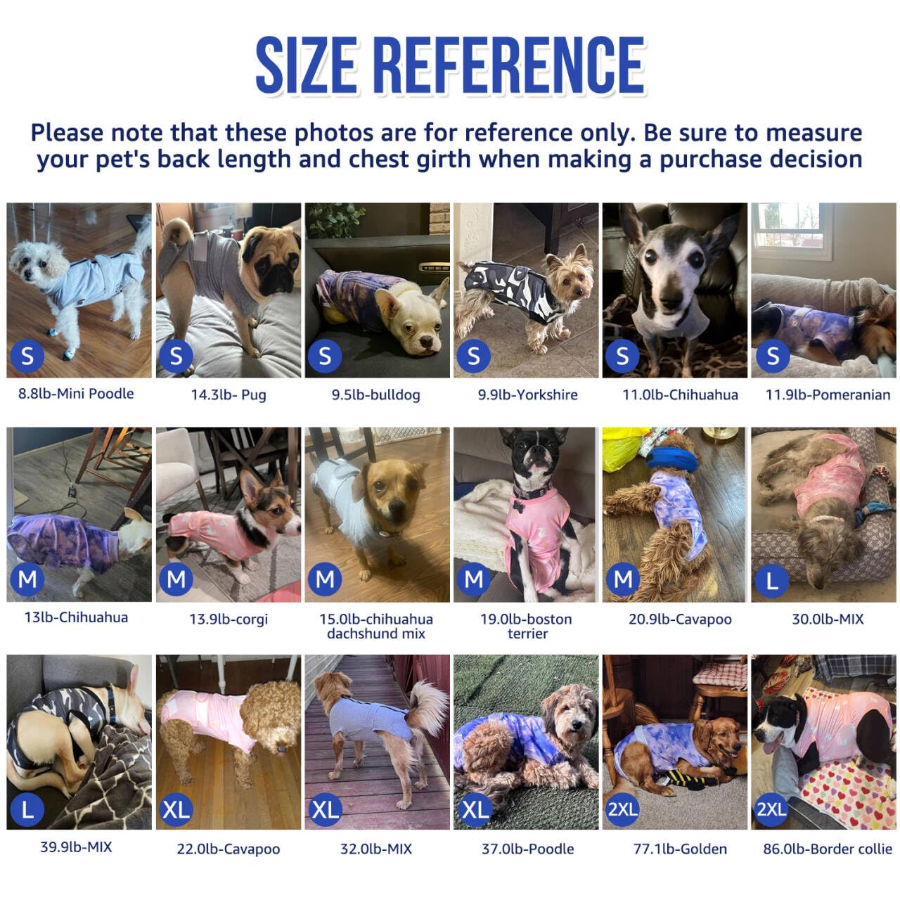 Lukovee dog recovery suit shown being worn by a dog.