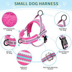 Lukovee small dog harness showing its adjustable neck and chest straps.