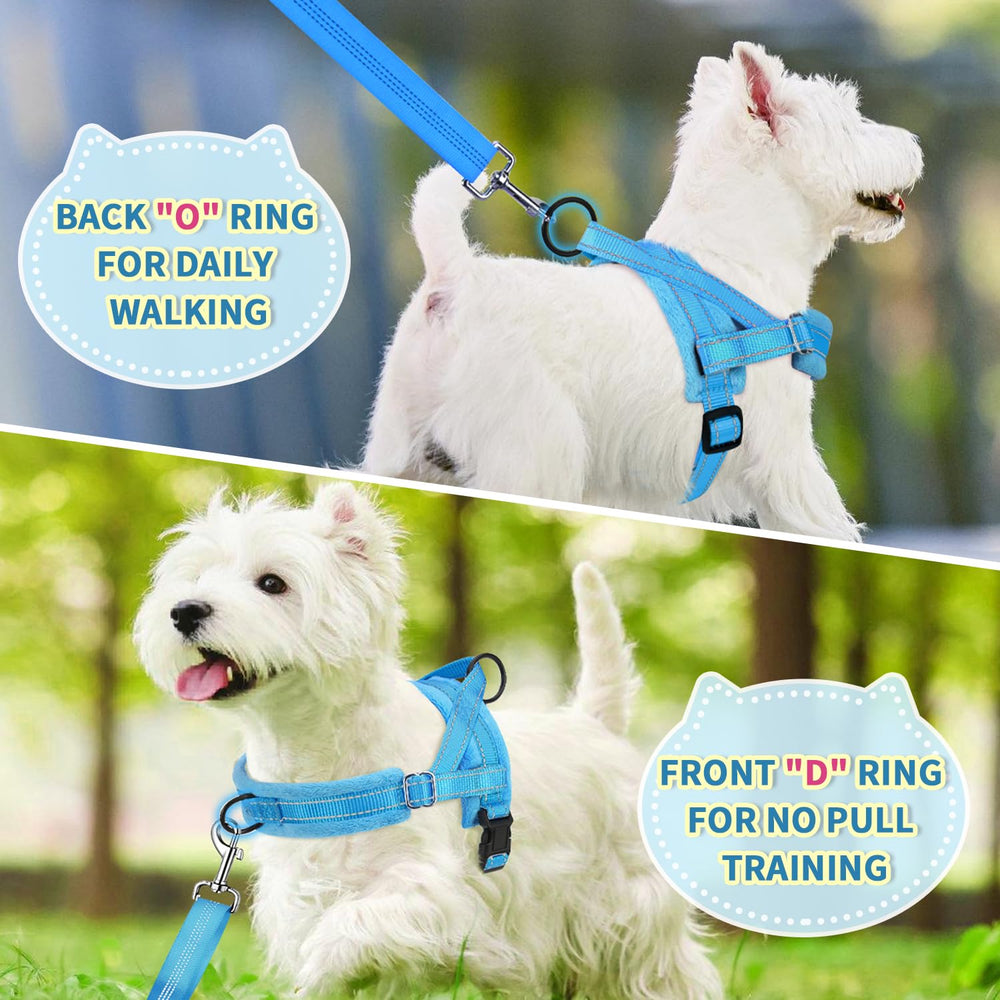 Lukovee small dog harness back O-ring shown close up.