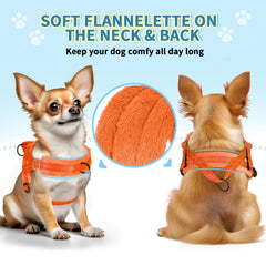 Lukovee small dog harness showing the back O-ring attachment point.