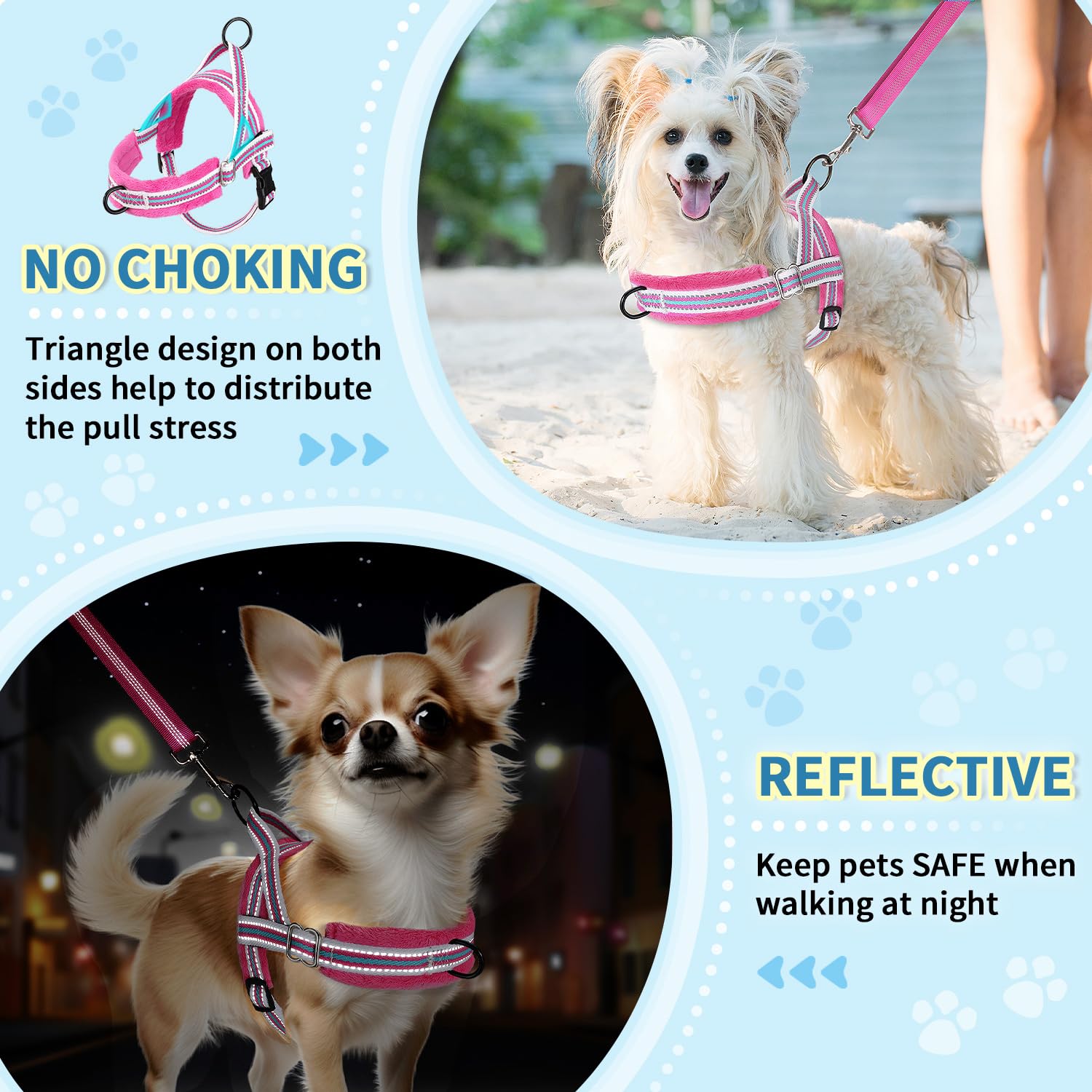 Lukovee small dog harness set with its bungee leash.