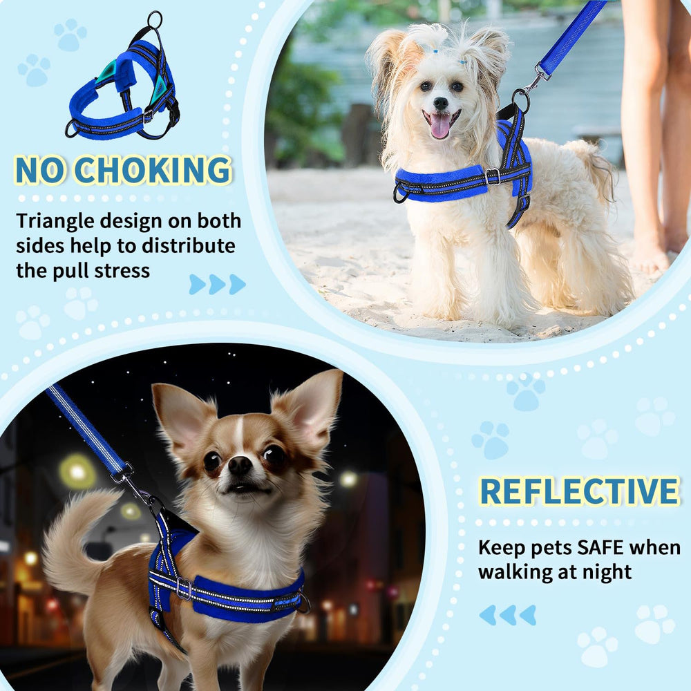 Lukovee small dog harness set with its bungee leash.