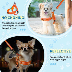 Lukovee small dog harness set with its bungee leash displayed.