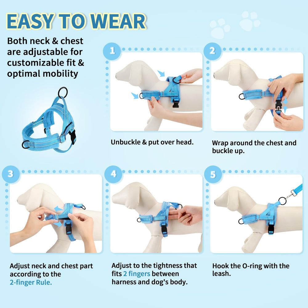 Lukovee small dog harness and leash set shown in use on a walk.