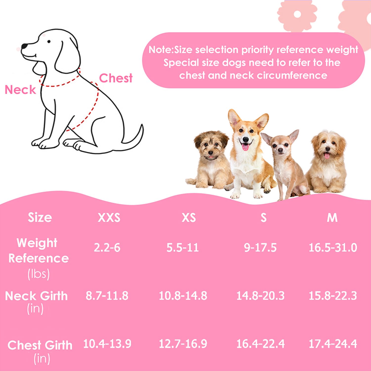 Lukovee small dog harness pictured with its matching detachable leash.