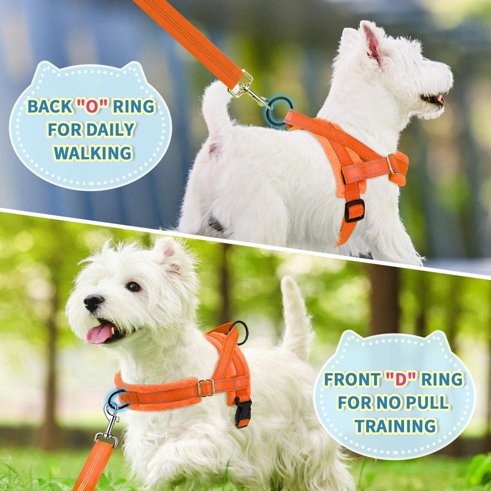 Lukovee small dog harness set showing reflective straps on the leash.