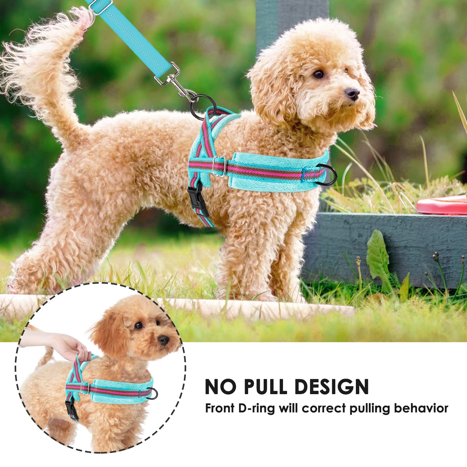 Lukovee small dog harness set showing the leash's reflective straps.