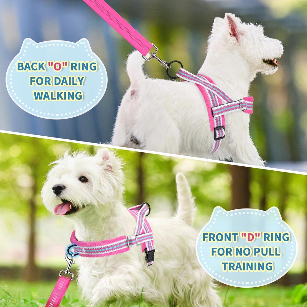 Lukovee small dog harness set showing reflective leash straps.