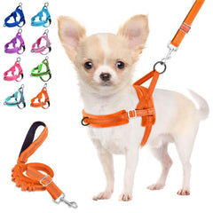 Lukovee small dog harness and leash set shown from the front.