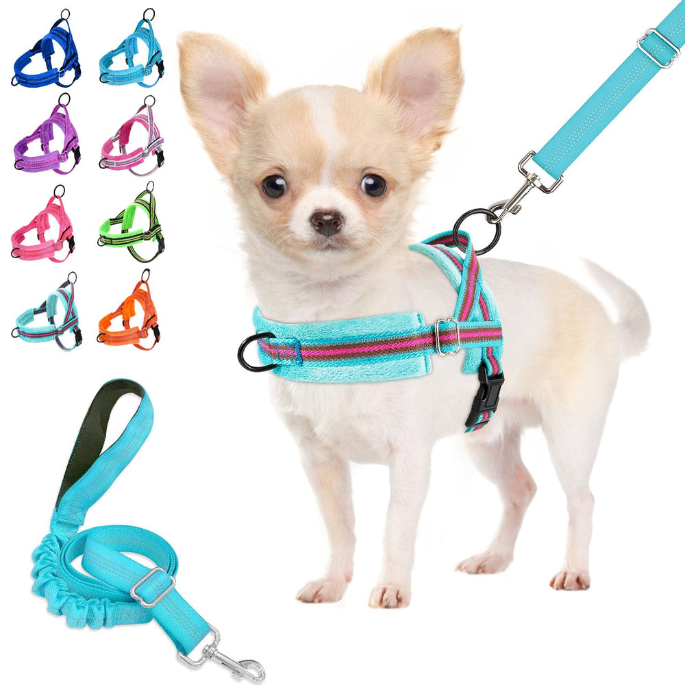 Lukovee small dog harness and leash set shown from the front.