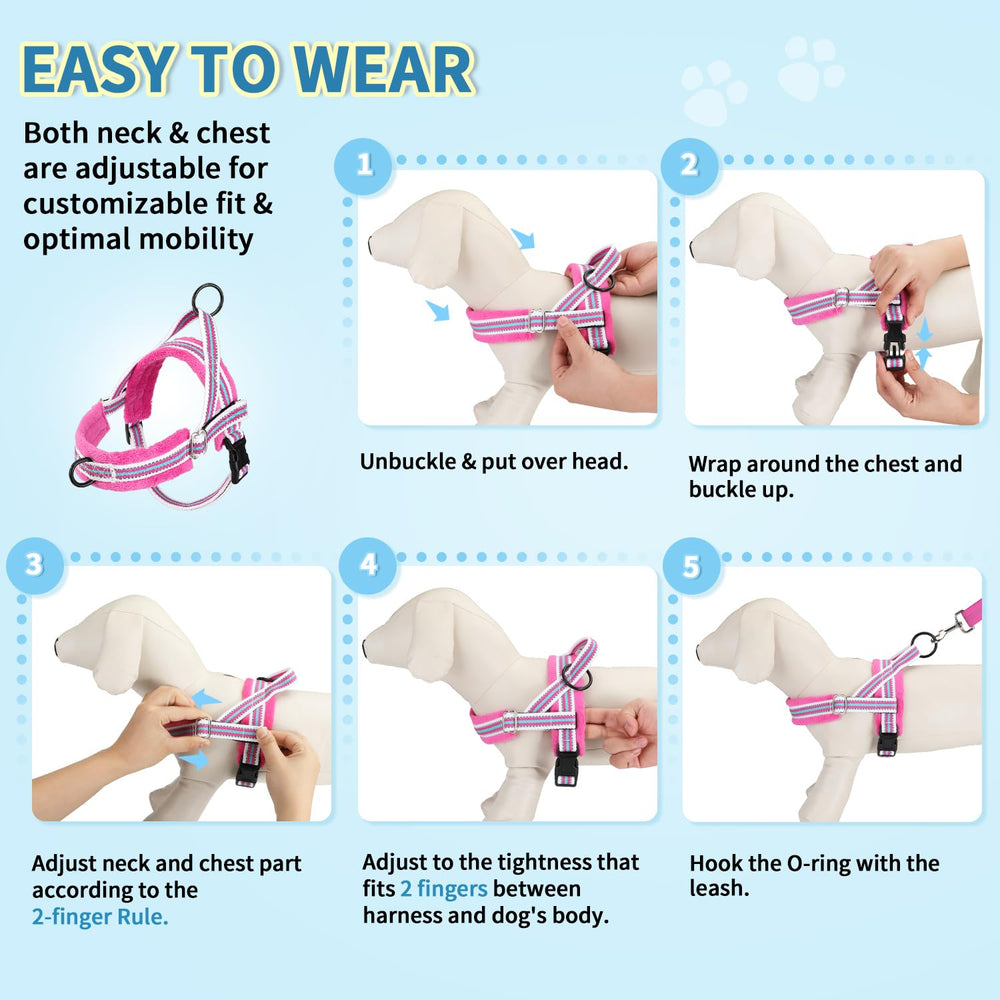 Lukovee small dog harness and leash set shown during a walk.