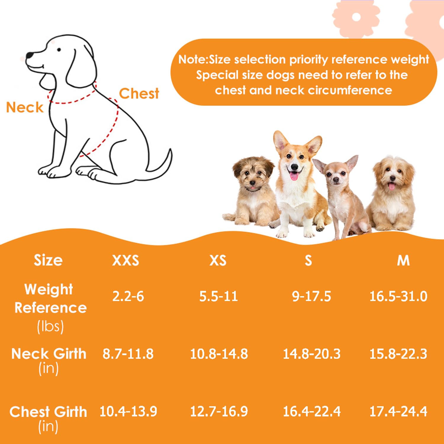Lukovee step-in dog harness laid flat to show its design.