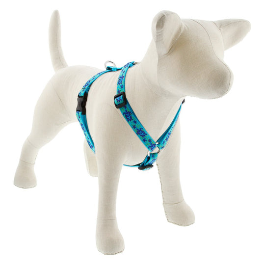 LupinePet Roman dog harness shown from the front in the Turtle Reef design.