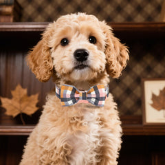 M MACA BATES dog collar close-up showing the structured detachable tartan bow tie.