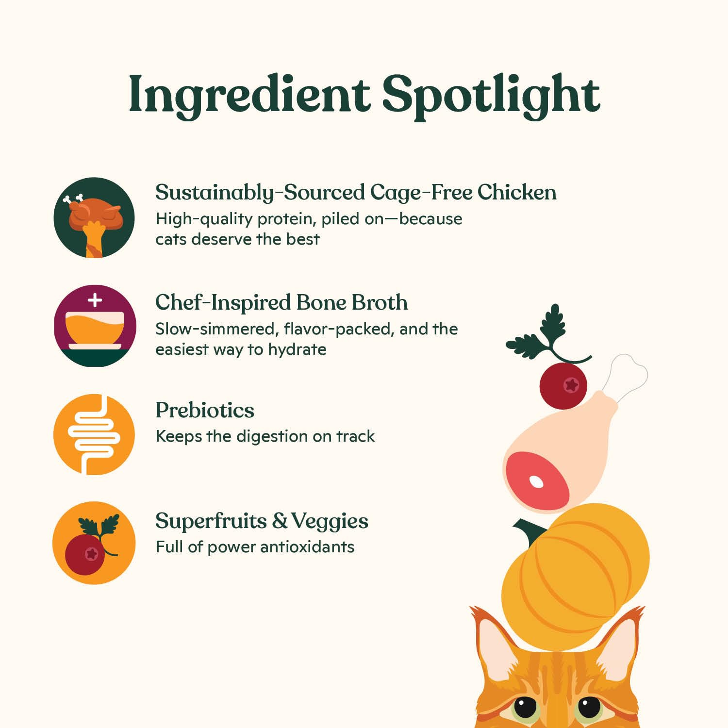 Made by Nacho dry cat kibble with focus on its dehydrated bone broth infusion.