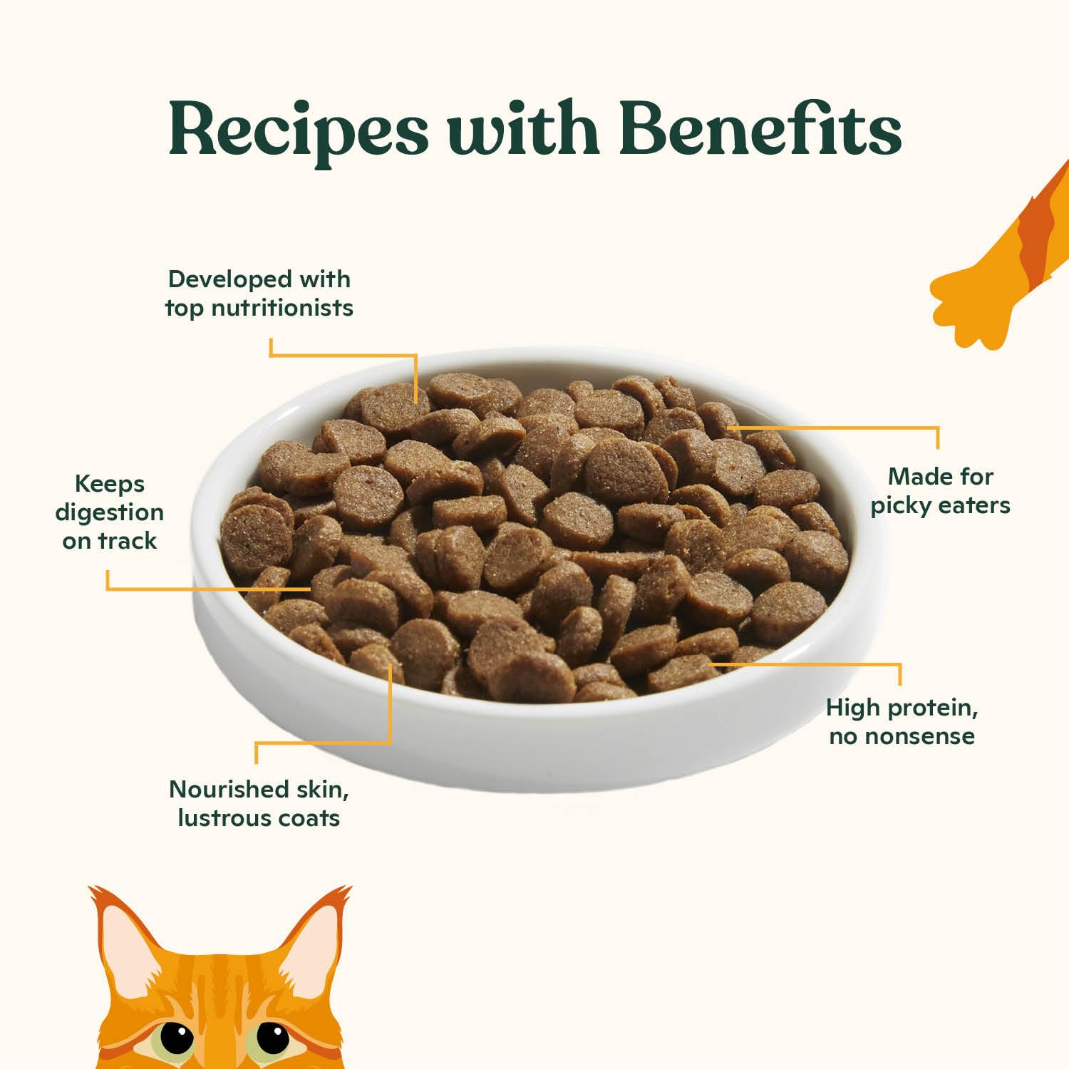 Made by Nacho dry cat kibble shown to highlight its crunchy texture.