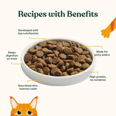 Made by Nacho dry cat kibble shown to highlight its crunchy texture.