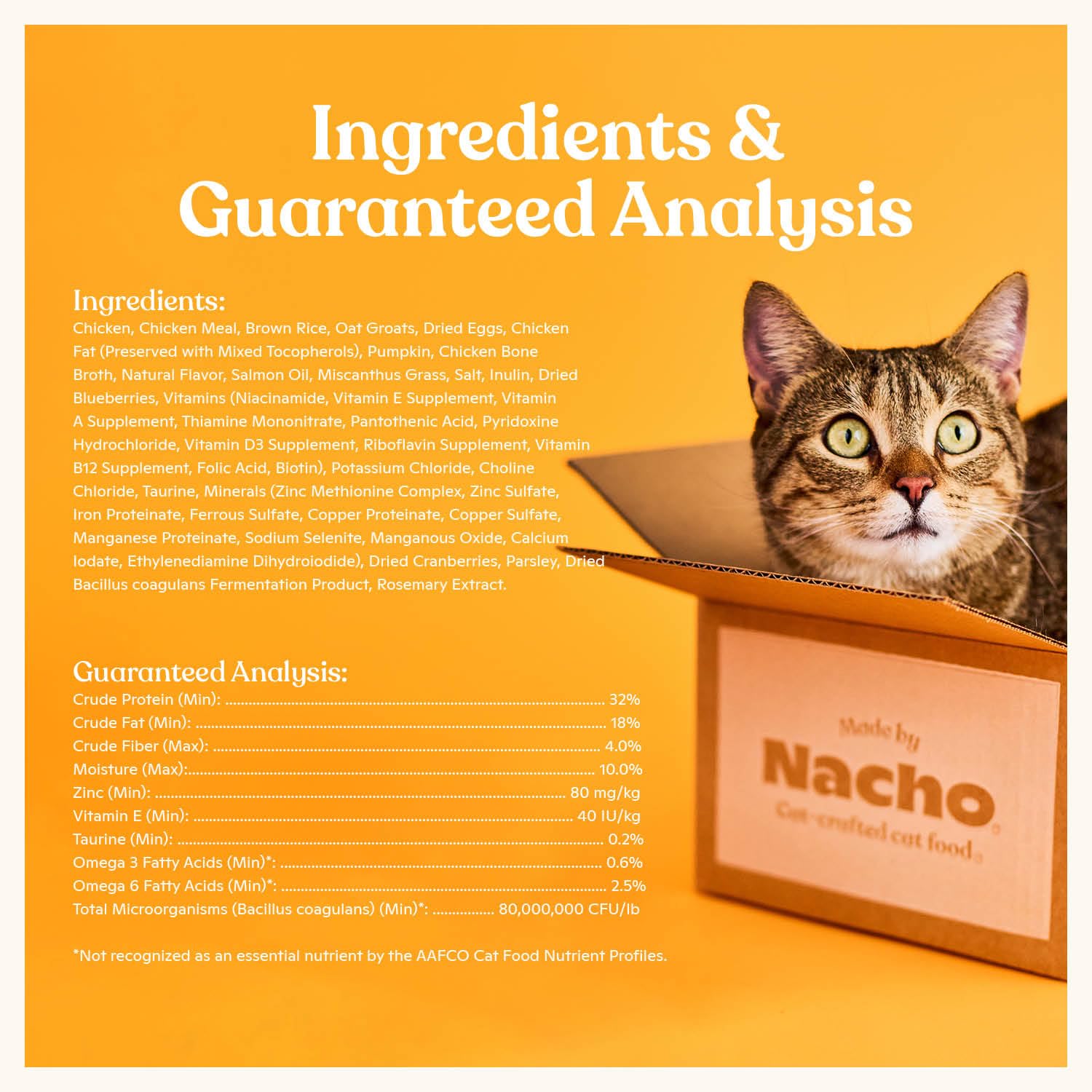 Made by Nacho dry cat kibble shown in a cat feeding scene.