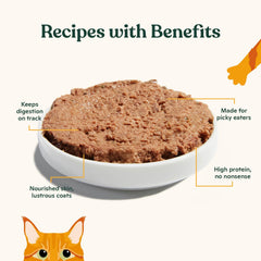 Made by Nacho pâté wet cat food shown with its smooth pâté texture.