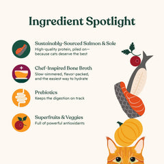 Made by Nacho pâté wet cat food with salmon and sole flavor shown on the label.