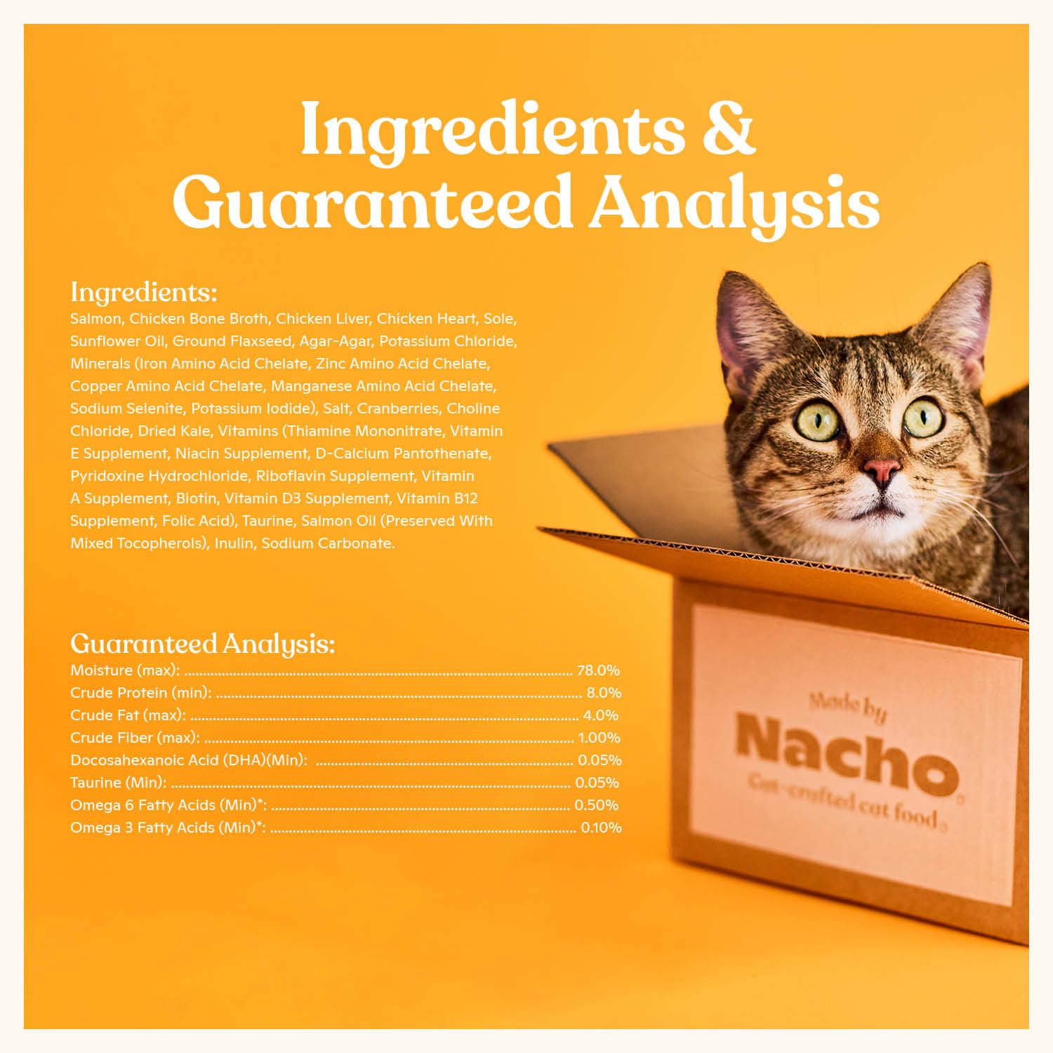 Made by Nacho pâté wet cat food six-can pack shown together.