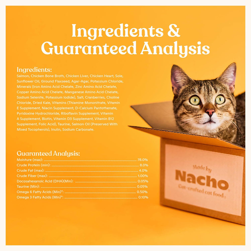Made by Nacho pâté wet cat food six-can pack shown together.