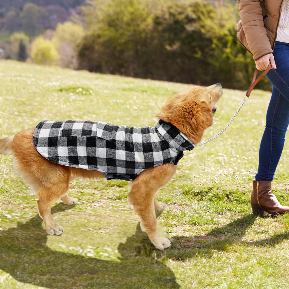 Malier dog coat shown being worn by a dog for a winter outing.