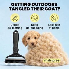 MalsiPree dog water bottle shown being used during an outdoor outing.