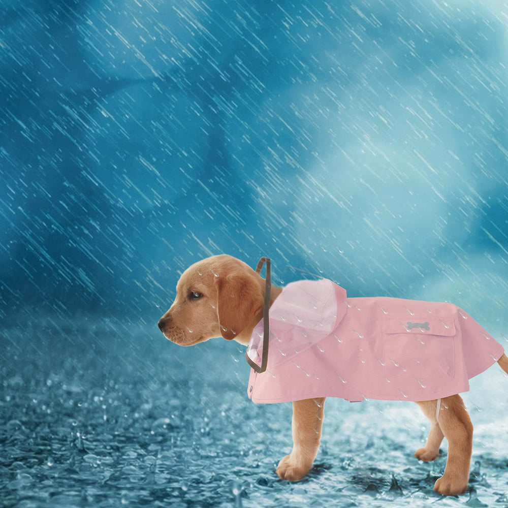 MAMORE Dog Raincoat shown being worn by a dog.