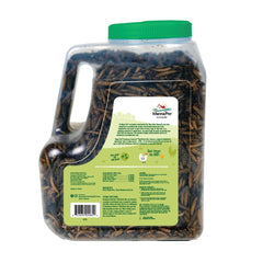 Mealworms and beetles in the Manna Pro Beetle Bliss poultry treat blend.